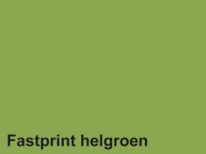 Afbeeldingen van Fastprint kopieerpapier a4 100vel 80gram helgroen, 120582 