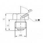 Afbeeldingen van Umeta Centraal smeernippel D1 type L DIN 3405 1/4" gas