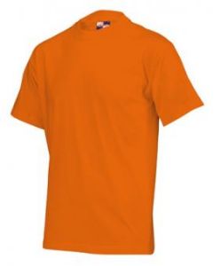 Afbeeldingen van Tricorp t-shirt 101001 oranje