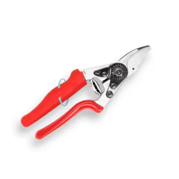 Afbeelding FELCO snoeischaar 12