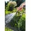 Afbeelding GARDENA tuinspuit