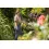 Afbeelding GARDENA textielslang liano™ life 30m set