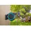 Afbeelding GARDENA wandslangenbox 25 rollup m/l