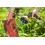 Afbeelding GARDENA multi broes Premium metaal