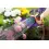 Afbeelding GARDENA multi broes Premium metaal