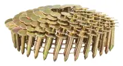 Afbeelding Makita asfaltnagel 3,1x22mm F-30762