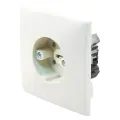 Afbeelding 01.372.10