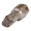 Afbeelding Makita schroefbit pz2x25mm diamant P-38641