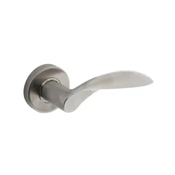 Deurkruk Massief afgerond op rozet met ring met veer rvs geborsteld 0035.062502