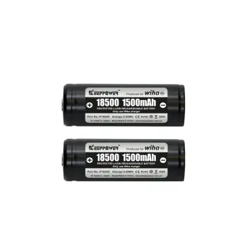 599001_speedE_Akku_Set