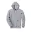 Afbeelding Carhartt marquette sweater K121
