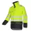 Afbeelding 24252000