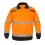 Afbeelding  7000110 168