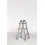 Afbeelding WAKÜ telescoopladder 100