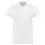 Afbeelding TRICORP CASUAL poloshirt fitted 180 gram 201005