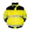 Afbeelding  7000291 063