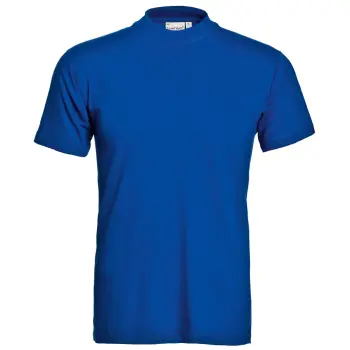 Afbeelding 25675100