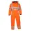 Afbeelding  7000295 008