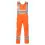 Afbeelding  7000293 008