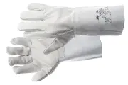 Afbeelding 431500