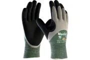 Afbeelding 15029400