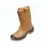 Afbeelding Atlas Anatomic 825 XP