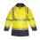 Afbeelding  7000331 063