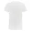 Afbeelding TRICORP CASUAL t-shirt v hals 101007