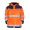 Afbeelding  7000289 059