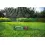 Afbeelding GARDENA zwenksproeier aqua s