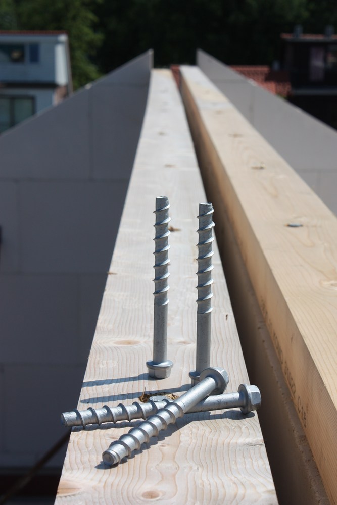 normal