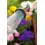 Afbeelding GARDENA broespistool Comfort