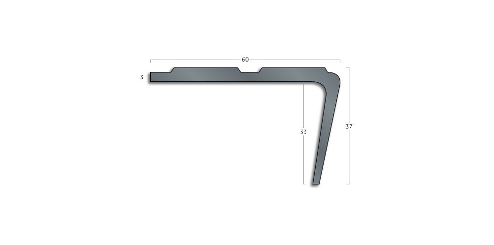 Gradus trapneusprofiel type PM 60 2750 mm