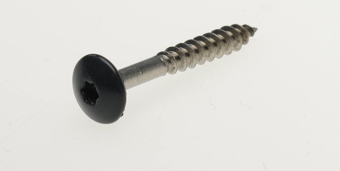 Trespaschr.rvs d.grijs t20 4.8x38