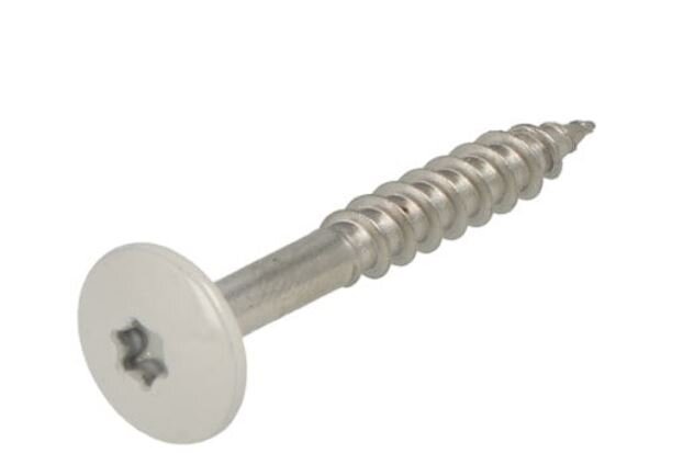 Trespaschr.rvs l.grijs t20   4.8x38