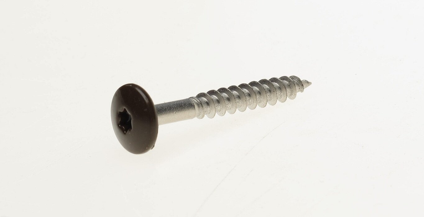 Trespaschr.rvs d.bruin t20   4.8x38