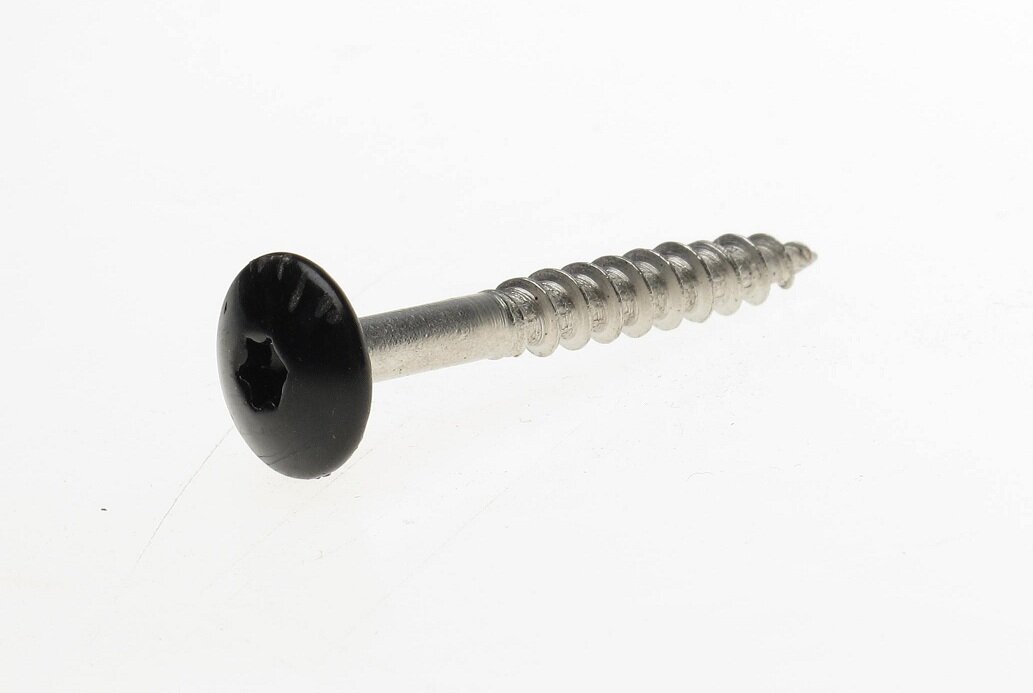 Trespaschroef rvs zwart t20  4.8x38