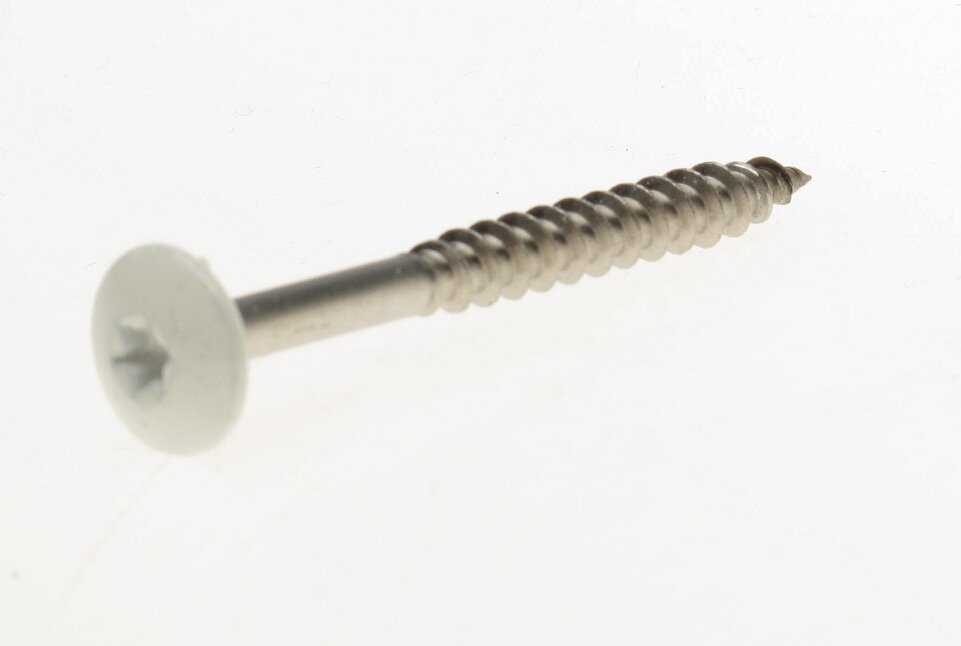 Trespaschroef rvs wit t20    4.8x50