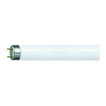 Philips tl buis koelwit  8w/33