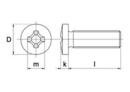 Metaalschr.rvs a2 torx ck m4x10