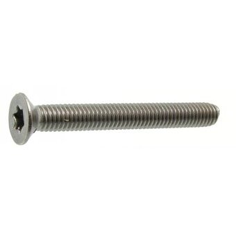 Metaalschr.rvs a2 torx     vk m5x10