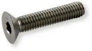 Inbusschroef rvs a2 pk      m6 x 60