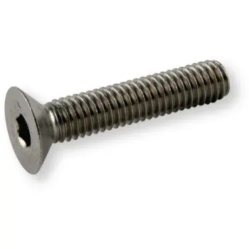 Inbusschroef rvs a2 pk m6 x 60