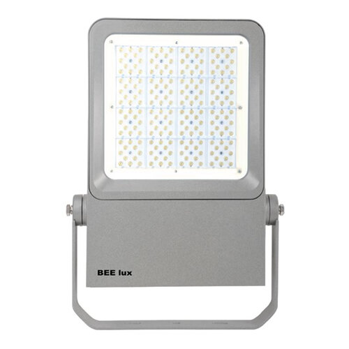 Bee-lux led floodlight klasse I 100W