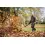 Stihl BR800C-E benzine ruggedragen bladblazer