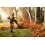 Stihl BR 700 benzine ruggedragen bladblazer