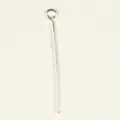 Oogpen+punt en oog 500x12mm