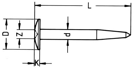 Meetspijker 5cm+opschrift