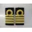 Epaulette                    master