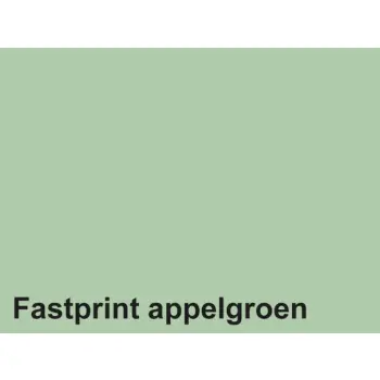 Kopieerpapier Quantore Colour A4 80gr 500 vel